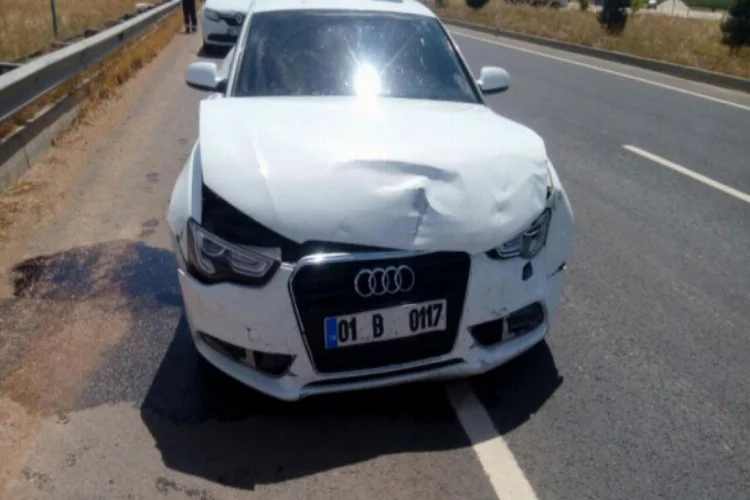 Şanlıurfa Mardin karayolunda trafik kazası