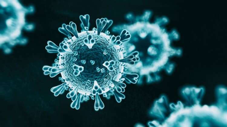 Korona virüsün çoğalmasını yüzde 96 oranında önledi