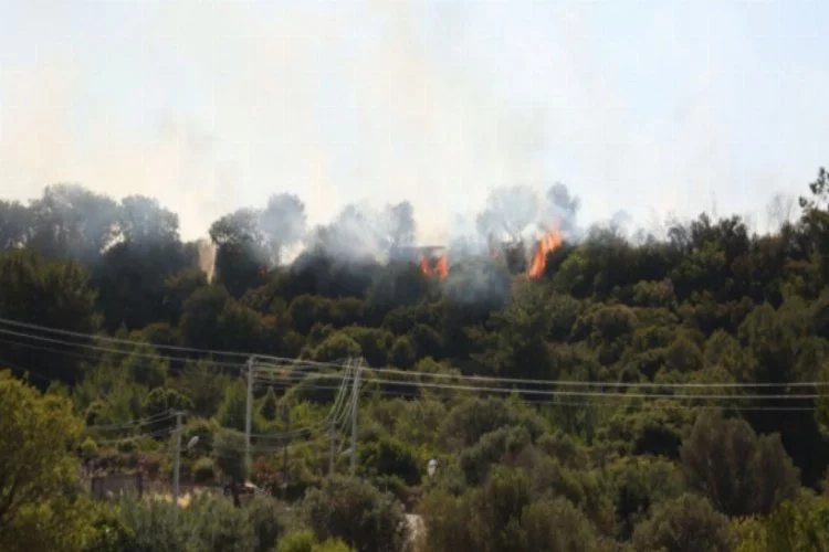 İzmir'de korkutan yangın