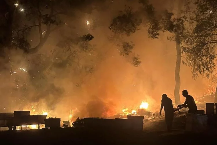 Antalya'da otluk alanda çıkan yangın ormanlık alana sıçramadan söndürüldü