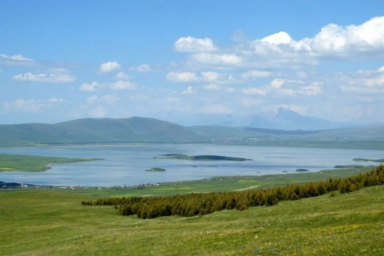 Ardahan ve Gürcistan sınırları arasında tektonik oluşumlu bir göl: Aktaş Gölü