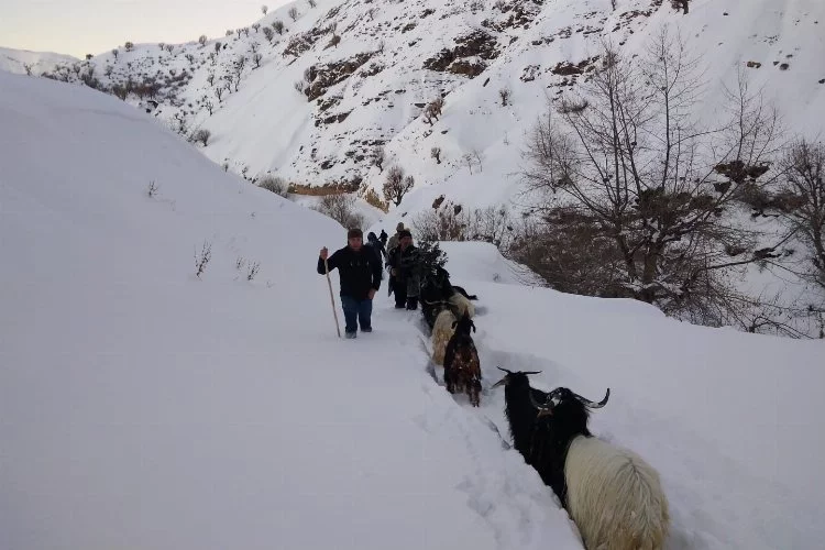 Asker ve köy koruyucuları seferber olmuştu! Keçiler bulunup sahibine teslim edildi