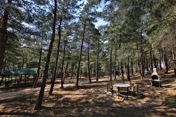 Bursa'da ormanlık alanlarda piknik yasaklandı