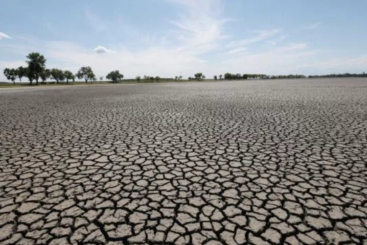 Avrupa'da kuraklık: 500 yılın en kötüsü olabilir