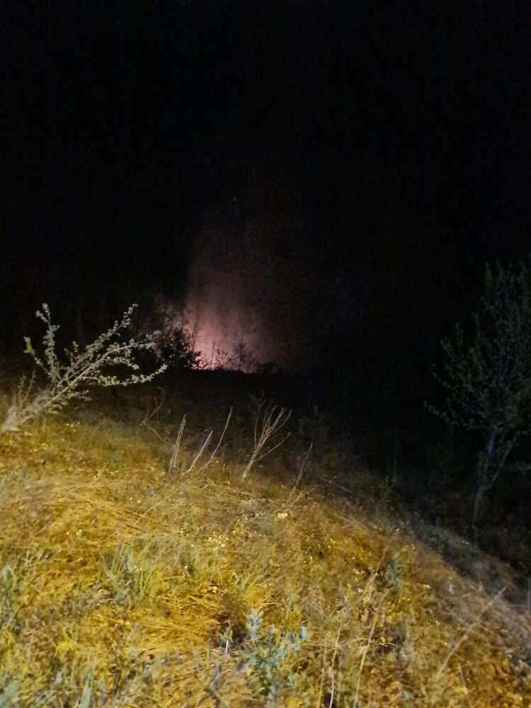 Ormanlık alanda yangın paniği!-Bursa Hayat Gazetesi-3