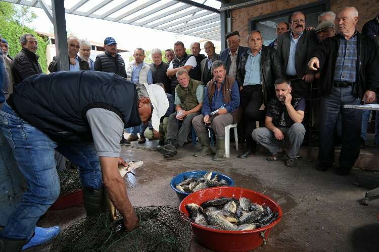 Gölyazı'da 100 yıllık balık mezadı geleneği sürüyor!-Bursa Hayat Gazetesi-3