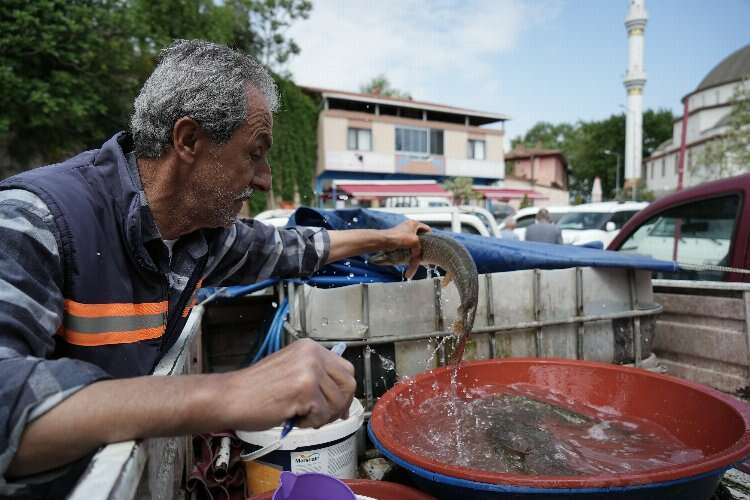 Gölyazı'da 100 yıllık balık mezadı geleneği sürüyor!-Bursa Hayat Gazetesi-2