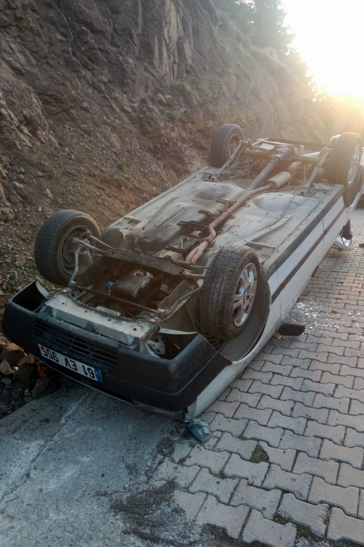 Camdan dışarı çıkmak isteyen köpek kazaya neden oldu: Sürücü yaralandı!-Bursa Hayat Gazetesi-2