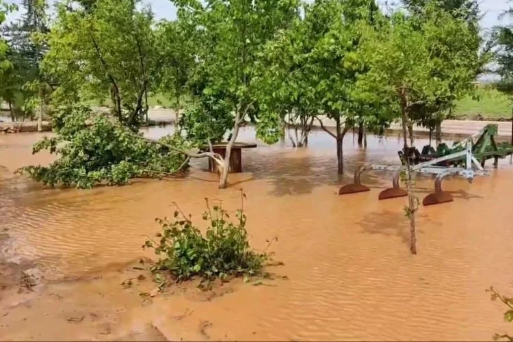 Sel suları tarım arazilerine zarar verdi