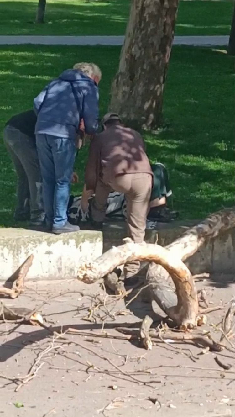 Gezi Parkı’nda garip olay: Başına ağaç dalı düştü!-Bursa Hayat Gazetesi-2