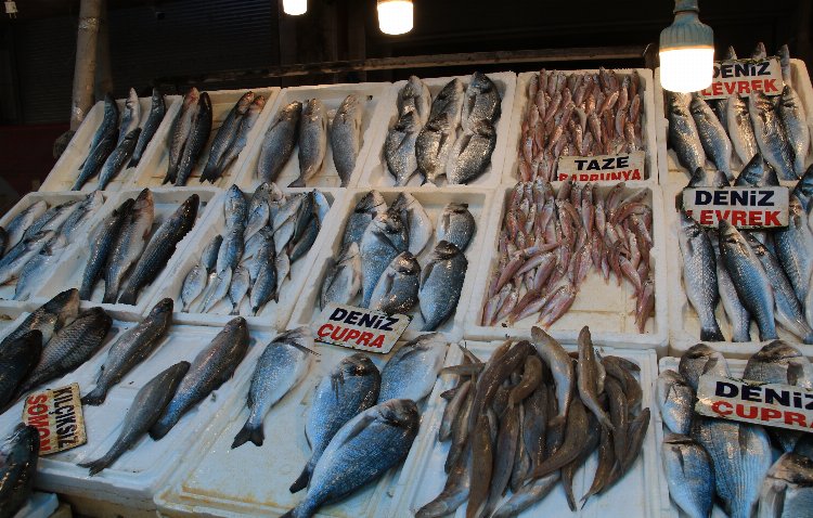 Balıkçılar, ihracata kısıtlama istedi Bursa Hayat Gazetesi -2