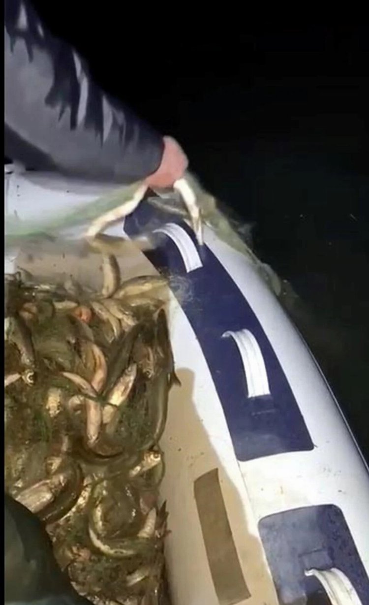 Erciş’te kaçak av operasyonu: 200 kilo canlı balık suya bırakıldı!-Bursa Hayat Gazetesi-2