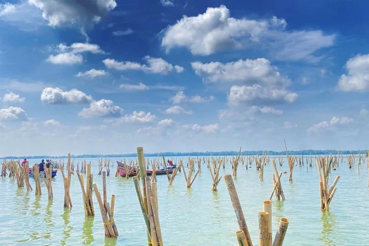 Tayland hükümeti 12 milli deniz parkını ziyarete kapattı