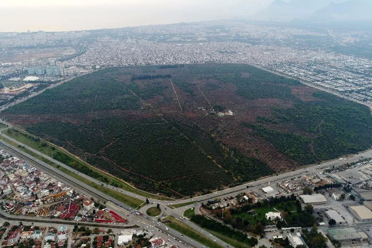 Bir kentin akciğerleri! içerisinde 7 yürüyüş parkuru ve 25 bin ağaç bulunuyor