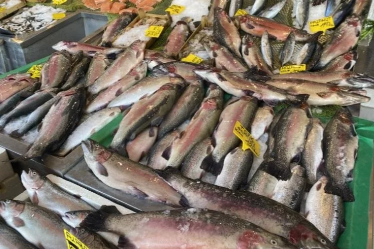 Somon balığının fiyatı düştü