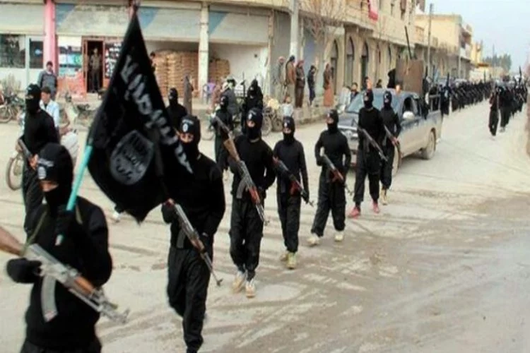 Bingöl'de IŞİD operasyonu! 8 gözaltı var