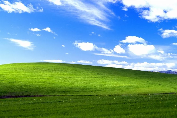 Bliss: Windows XP'nin efsanevi arka plan fotoğrafının hikayesi