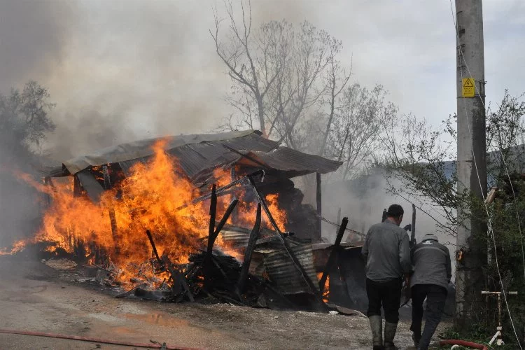 Bolu'da panik yaratan yangın: Gözü gibi baktığı oğlağı öldü sandı!