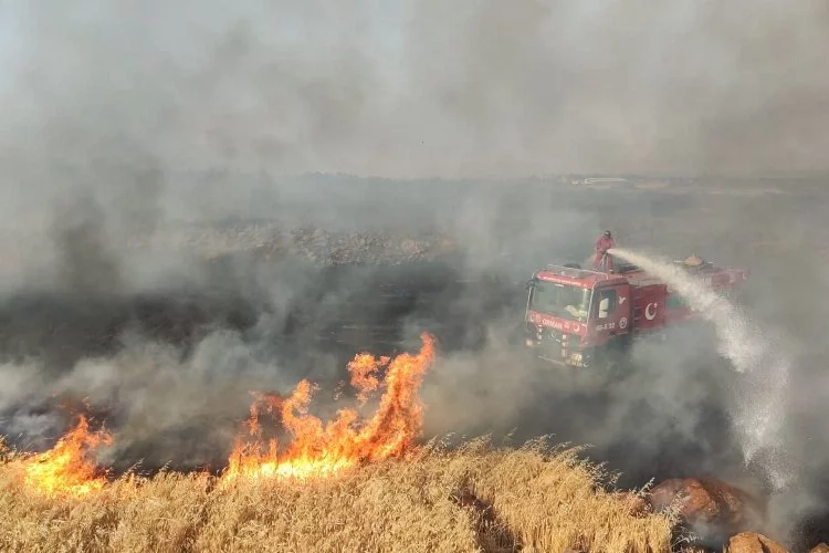 Buğday tarlasında büyük yangın! 7 bin dönüm alan yandı