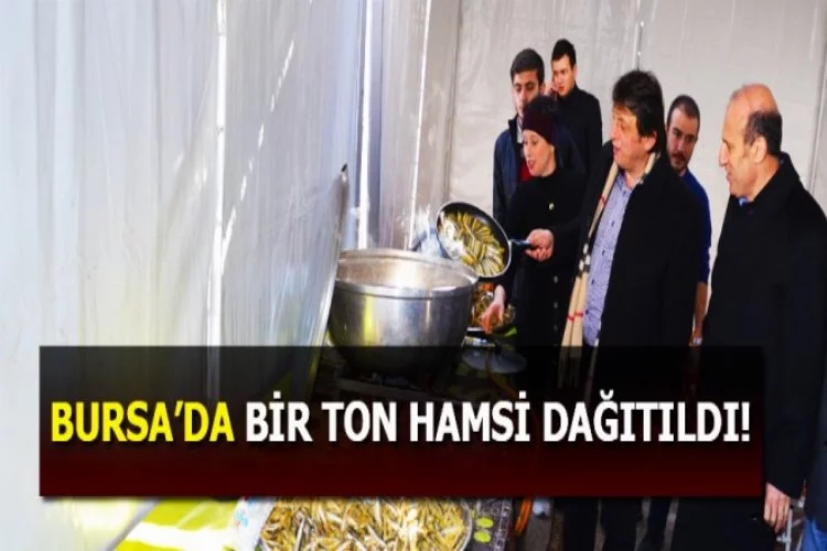 Bursa'da 1 ton hamsi dağıtıldı!