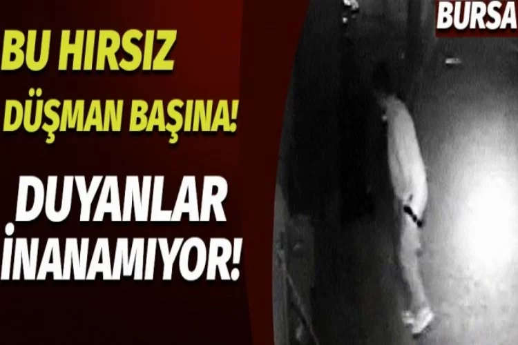 Bursa'da hırsızlık pes dedirtti!