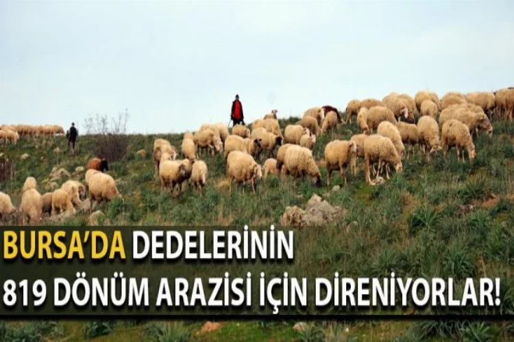 Bursa'da köylüler dedelerinin mirası için direniyorlar!