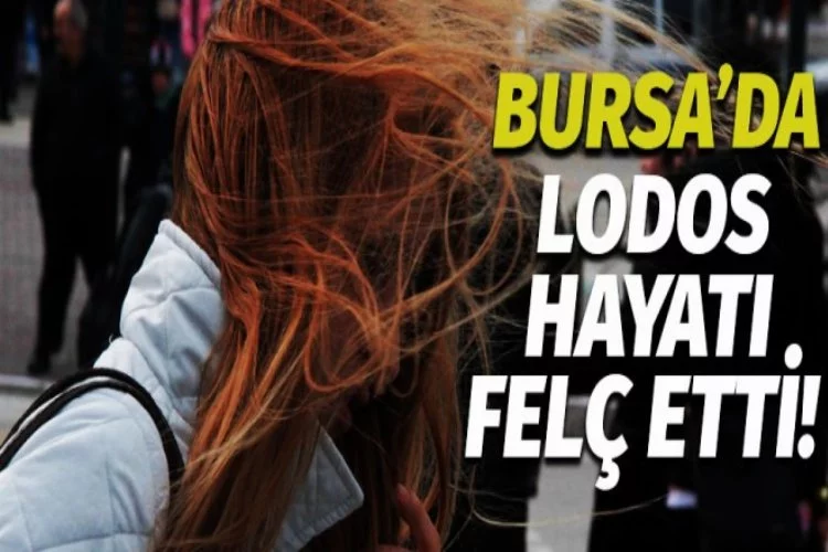 Bursa'da lodos hayatı felç etti