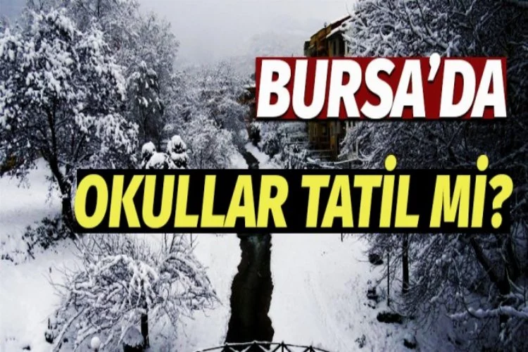 Bursa'da okullar tatil mi?