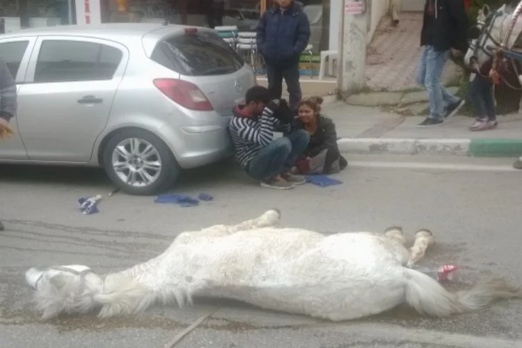 Bursa'da ölen atının başından ayrılamadı
