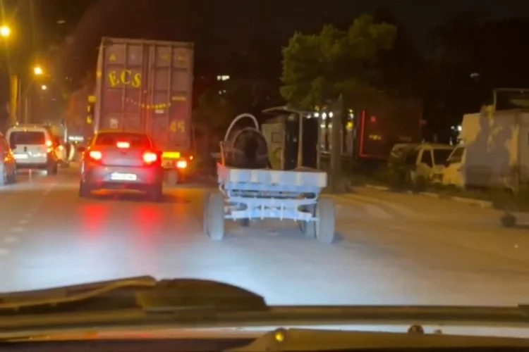 Bursa'da şehir turu atan başıboş at arabası şaşkına çevirdi!