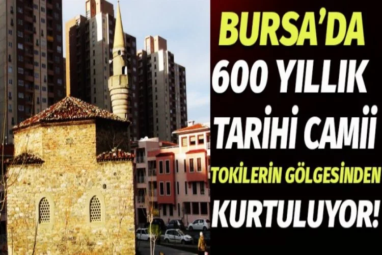 Bursa'da tarihi cami tokilerin gölgesinden kurtuluyor