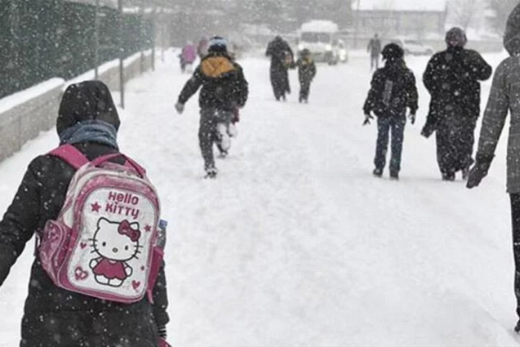 Bursa'nın iki ilçesinde daha eğitme kar engeli! 
