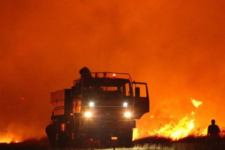 Çanakkale'de orman yangını: Görüntüler tüyler ürpertti!