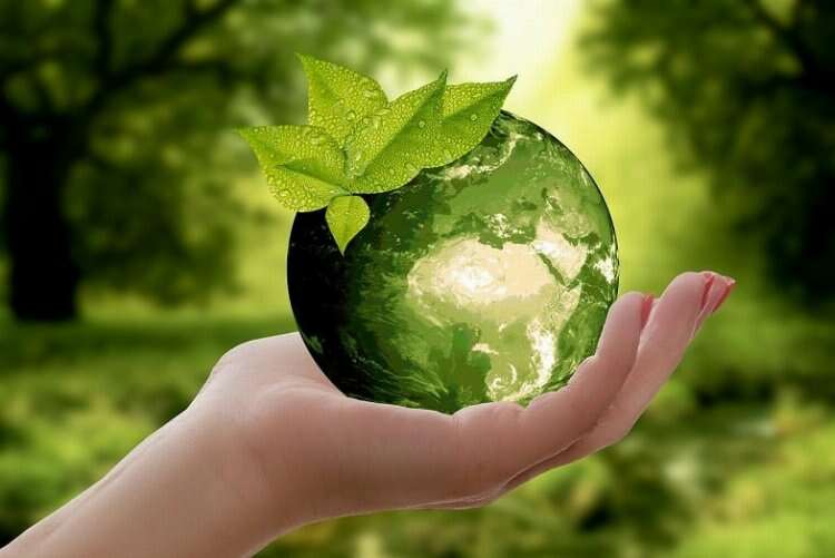 Çevre koruma kuralları: Doğal kaynakları nasıl koruyabiliriz? Bursa Hayat Gazetesi -2