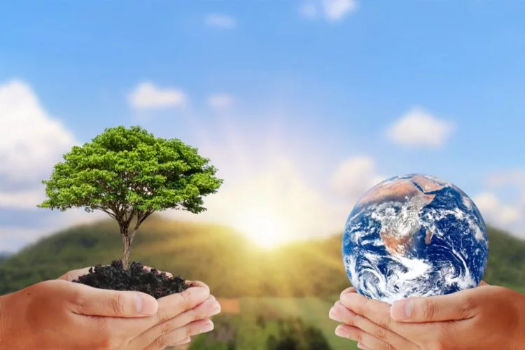 Çevresel değerlerin korunması: Doğa sevgisi ve sürdürülebilir yaşam