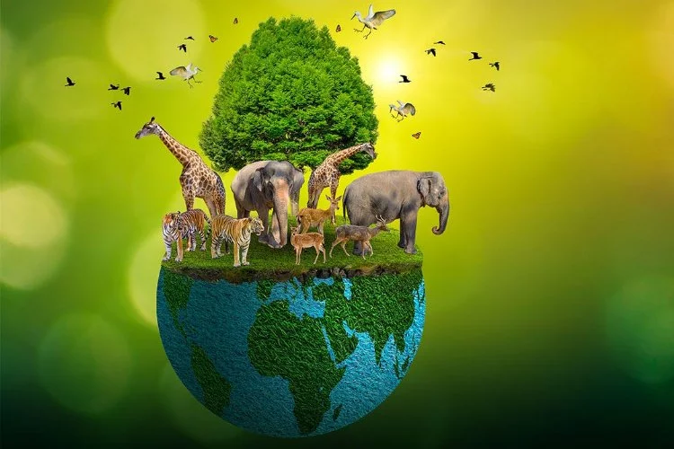 Doğal dünyanın canlı sembolleri: Hayvanlar ve onların önemi