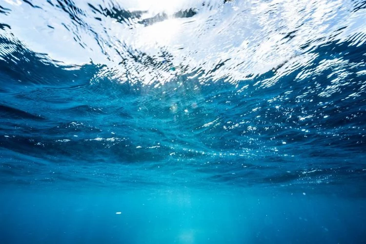 Dünyanın mavi akciğeri: Okyanuslar ve önemi