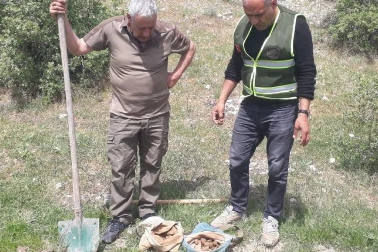 Elazığ'da salep soğanı toplayan 8 kişiye rekor ceza!