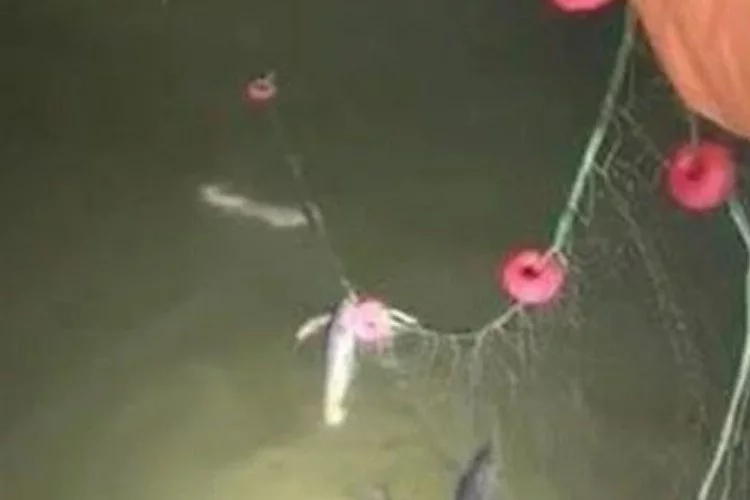 Erciş’te kaçak av operasyonu: 200 kilo canlı balık suya bırakıldı!