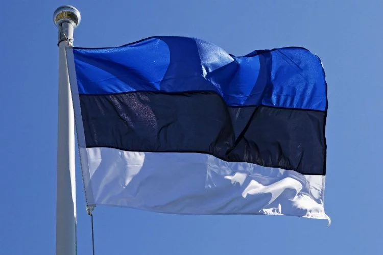 Estonya'da Ukrayna'ya askeri destek konusu tartışılıyor