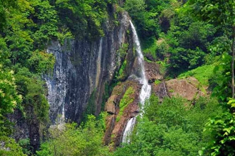 Etrafı yemyeşil ormanlarla çevrili doğal güzellik: Vandri Şelalesi