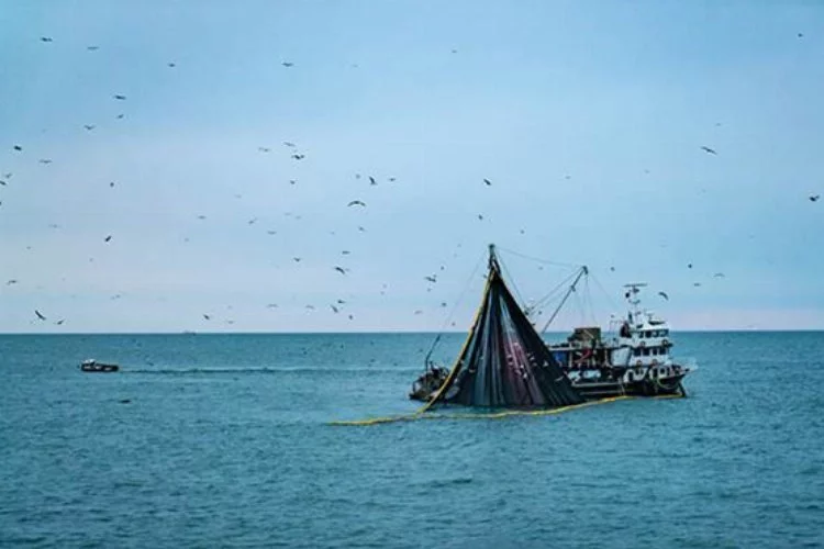Balıkçılık endüstrisindeki son trendler: Deniz kaynaklarının sürdürülebilir kullanımı