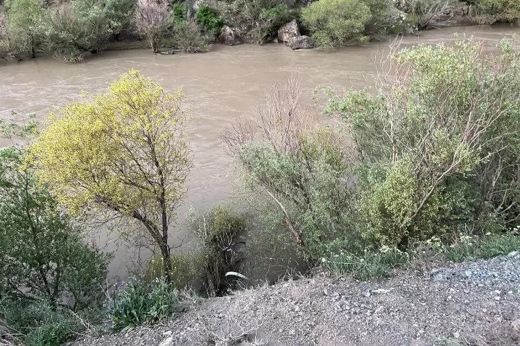 Fırat Nehri'ne düşen aracın sürücüsü son anda boğulmaktan kurtuldu