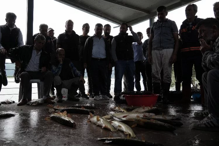 Gölyazı'da 100 yıllık balık mezadı geleneği sürüyor!