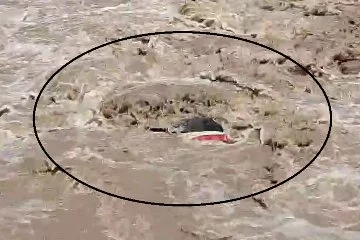 Hatay'da sel felaketi: Köprüden geçen araç sulara kapıldı, 2 yaralı!