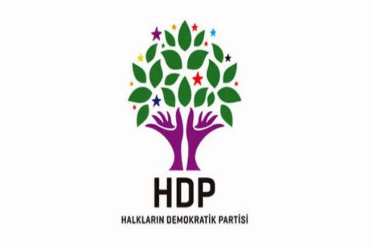HDP'den flaş başvuru