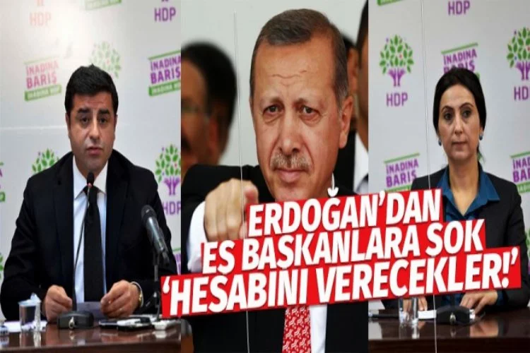HDP Eş Başkanlarının dokunulmazlıkları kalkıyor mu?