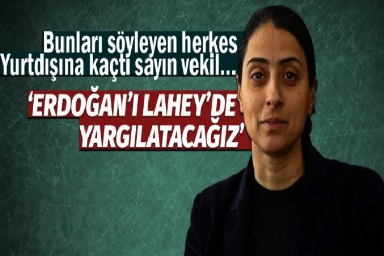 HDP'li vekil: Erdoğan'ı yargılatacağız!