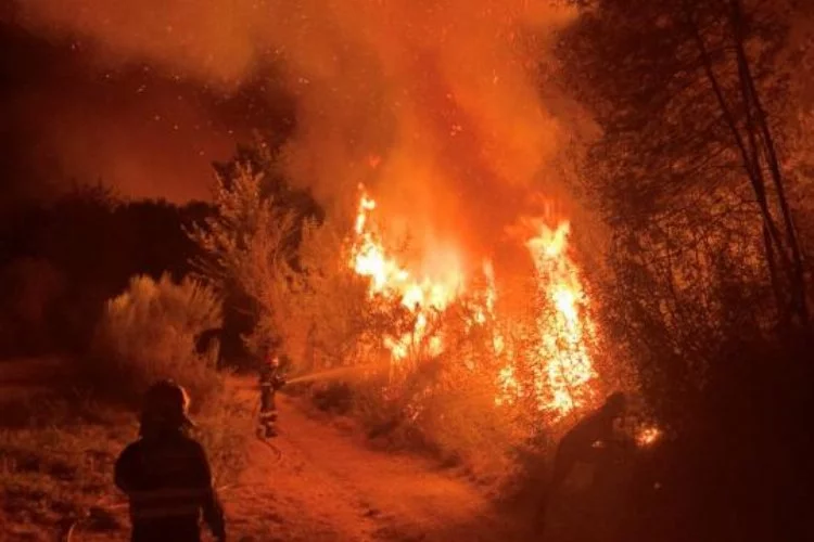 İspanya'nın Valensiya bölgesinde 10 bin hektarlık alan yandı