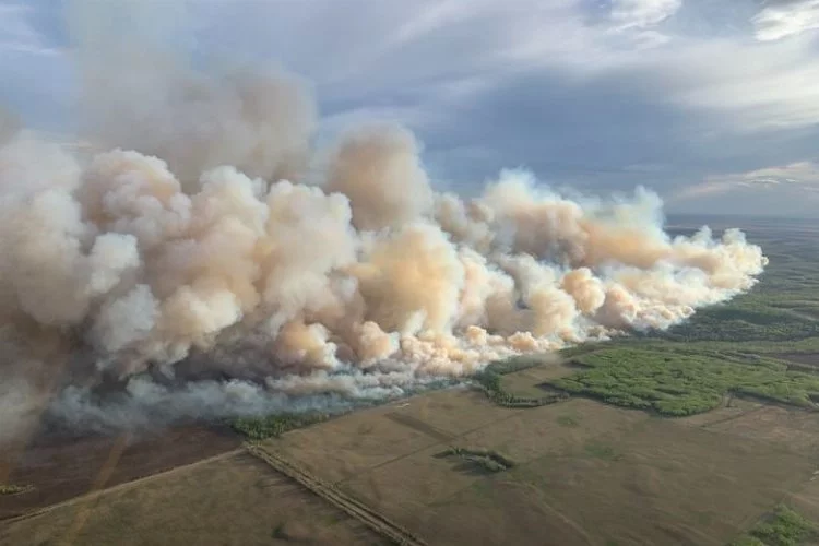 Kanada orman yangınlarıyla boğuşuyor! Alevler 10 bin hektarlık alana yayıldı